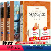 全3册 海底两万里上下+骆驼祥子(送考题册) [正版]海底两万里和骆驼祥子老舍书人民文学出版社初中生初中版七年级下册