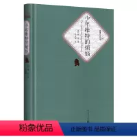 少年维特的烦恼 [正版]送有声书 硬壳精装完整版 少年维特的烦恼全译本 歌德著 杨武能译 原版原著少年全译本青少版初高