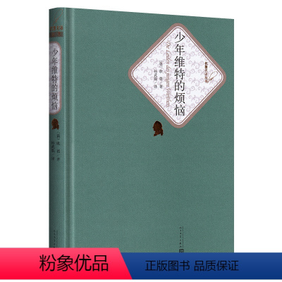 少年维特的烦恼 [正版]送有声书 硬壳精装完整版 少年维特的烦恼全译本 歌德著 杨武能译 原版原著少年全译本青少版初高