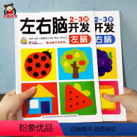 [正版]2册小婴孩左右脑开发2-3岁宝宝早教书籍赠贴纸 益智游戏书两岁小孩子启蒙认知学习幼儿图书0-3岁适合儿童两周岁