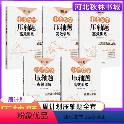 [全5册]中考数学压轴题 初中通用 [正版]周计划中考数学压轴题高效训练(函数) 初中数学函数专题 二次函数三角函数 九