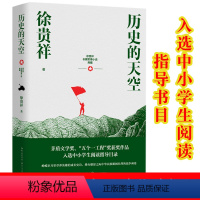 [正版] 历史的天空 徐贵祥 现代当代小说 第六届茅盾文学奖 获奖作品 经典文学*书矛盾作品全集 课外阅读书籍图书江文