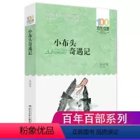 [正版]小布头奇遇记百年百部中国儿童文学经典书系6-12周岁青少年儿童文学故事书籍*三年级四五六七年级中小学生课外阅读