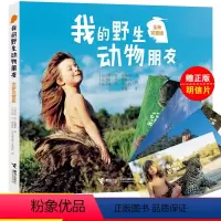 [正版]我的动物朋友蒂皮.德格雷 非注音版一二三四年级少儿百科全书科普书籍动物王国小学生读物十万个为什么小学版全套朋友