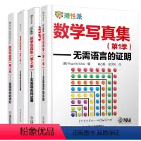 [正版]数学写真集 1季+2季+3季+4季 无需语言的证明 直观思考的进阶 4本 机械工业出版社书籍