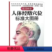 [正版]人体经络穴位标准大图册 经络穴位准确定位 常见病穴位配伍书籍 人体经络穴位易学速查 经络穴位按摩教程书籍 中医