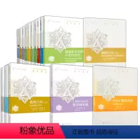 [正版] 数学概览丛书 套装16册 泛函分析史 对称的观念 数学的 圆与球 代数基本概念 概率直观几何 讲座高等教