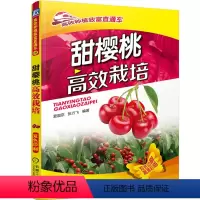 [正版]甜樱桃栽培 种植致富直通车 张力飞 樱桃种植技术基础教程 甜樱桃栽培种植技术大全樱桃病虫害诊断与防治 图书籍