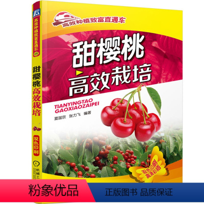 [正版]甜樱桃栽培 种植致富直通车 张力飞 樱桃种植技术基础教程 甜樱桃栽培种植技术大全樱桃病虫害诊断与防治 图书籍