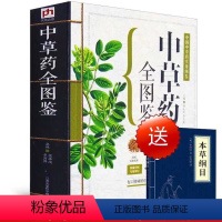 [正版]中草药全图鉴送(小本草]草药大全中草药材医学书籍中草药彩