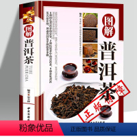 [正版]图解普洱茶 普洱茶书籍 中国云南洱茶书大全茶经茶文化茶道茶艺图鉴 中国茶茶事茶叶通史茶类书籍 识茶泡茶品茶普