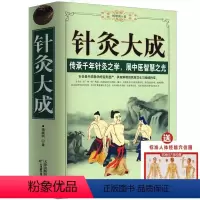 [正版]针灸大成 原文集注白话解完整版杨继洲艾灸中医针灸基础理论临床医学大全针灸学全集内经甲乙经校释灸绳董氏奇穴析要