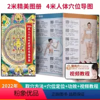[正版]附视频教程396个成人穴位对症理疗思维导图 人体经络穴位图解 中医按摩经络穴位书籍经络穴位艾灸刮痧按摩大全 经