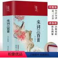 [正版]国学诵读本:宋词三百首HM 宋词300首全集 国学启蒙经典赏析