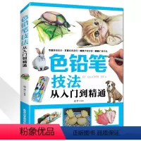 [正版] 色铅笔技法从入门到精通 零基础学画画 色铅笔绘画新手入门教程 教你学绘画速写构图建筑风景彩铅画绘制技巧基础教