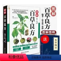 [正版]中药书籍图解百草良方彩色图鉴药书中医基础入门中药材药方中医养生保健书籍中草药中药材彩色图谱附偏方药方本草纲目中