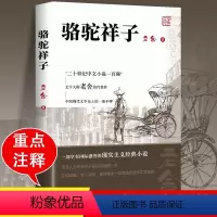 [赠考点]骆驼祥子+海底两万里 [正版]骆驼祥子原著老舍初中必读课外阅读书籍七年级人民文学出版社