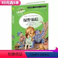 [正版]5本45元系列绿野仙踪 人生书语文课外书名师点评彩图全译本3-6年级课外书7-10岁小学生课外书名著