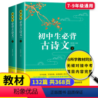 初中生必背古诗文132篇 [正版]全套2册 初中生必背古诗文132篇 初一初二初三常用三年古诗词文言文语文篇目 初中七八