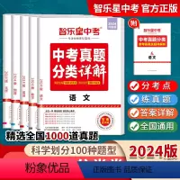 数学 全国通用 [正版]智乐星中考2024版中考真题分类卷全国中考真题 初中必刷题型+超详解答案 语数英物化