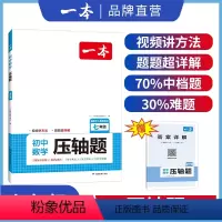 七年级数学压轴题 初中通用 [正版]2024初中数学压轴题七八九年级数学有理数方程初三数学必刷题上下册通用中考数学专题训