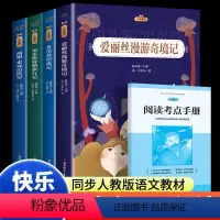 全套四册(赠小册子) [正版]六年级课外阅读书籍下册原著完整鲁滨逊漂流记小学生爱丽丝梦游仙境漫游奇境记尼尔斯骑鹅旅行记汤