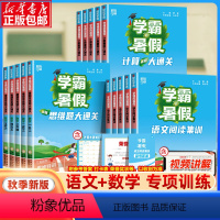 [语文]暑假阅读集训 一升二 [正版]2024经纶学霸的暑假衔接一升二升三升四升五升六语文阅读集训数学计算思维题大通关人