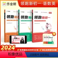 语文+数学+英语[3册] 小学升初中 [正版]2024小升初领跑新初一预习七年级初中语数英基础知识大盘点语数英自测练习题