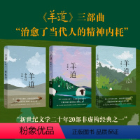 羊道三部曲 [正版]羊道三部曲 春牧场/前山夏牧场/深山夏牧场 李娟经典散文集 遥远的向日葵地我的阿勒泰记一忘三二现当代