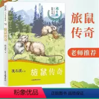 沈石溪十二生肖动物小说《旅鼠传奇》 [正版]沈石溪十二生肖动物小说旅鼠传奇猪王黑旋风雄虎哈雷山羊大王拂晓鸡王大个头兔王后