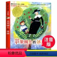 苹果树上的外婆(注音版) [正版]苹果树上的外婆升级版新蕾出版社国际大奖小说奥米拉·洛贝 奥地利国家儿家与青少年文学奖