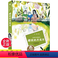 鼹鼠的月亮河 [正版]王一梅童书鼹鼠的月亮河新蕾出版社 经典长篇童话 天津出版传媒集团 小学生一二三年级课外阅读必读书目