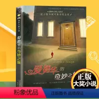 爱德华的奇妙之旅 [正版]爱德华的奇妙之旅新蕾出版社国际大奖小说美凯特·迪卡米洛原著 天津出版传媒集团 波士顿全球号角书