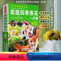 [正版]家庭四季养花书一点通书籍大全新手入门栽培技术花卉养殖大全书