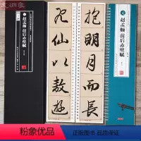 [正版]赵孟頫前后赤壁赋 名家碑帖近距离临摹字卡(2卷全文)前后赤壁赋米字格放大+原帖对照版 行书书法毛笔练字帖 附简