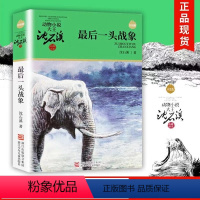 浙江少年儿童出版社《最后一头战象》沈石溪著 [正版]后一头战象沈石溪著浙江少年儿童出版社狼王梦斑羚飞渡动物小说完整版三四