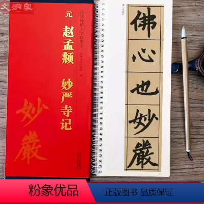 [正版]赵孟頫妙严寺记 传世碑帖大字临摹卡全文2册盒装 近距离临摹字卡线圈活页 楷书放大本毛笔书法练字帖 附简体注释