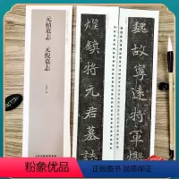 [正版]元桢墓志 元倪墓志 经典碑帖近距离临摹练字卡 魏碑楷书1卷附简繁体旁注原碑帖毛笔书法字帖 天津人民美术出版社