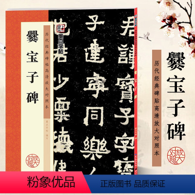 爨宝子碑 [正版]爨宝子碑 历代经典碑帖高清放大对照本 字帖 成人隶书楷书书法毛笔临摹字帖 选例字米字格放大附简体旁注