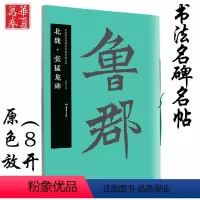 [正版]张猛龙碑 北魏 中国书法名碑名帖原色放大本 胡紫桂编 成人初学者临摹毛笔软笔古文碑帖 北魏碑楷书书法练字帖附简