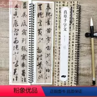 [正版]智永真草千字文 原碑帖全文1册 名家碑帖近距离临摹卡 附简体旁注临摹本草书楷书对照书法毛笔练字帖