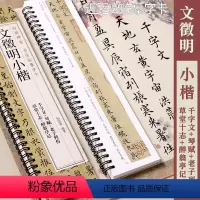 [正版]文徵明小楷 千字文琴赋老子列传草堂十志醉翁亭记 黑龙江美术出版社 经典碑帖书法临摹字卡 1卷小楷书法毛笔字卡练