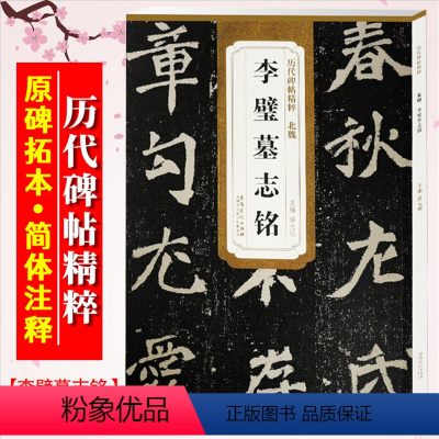[正版]李璧墓志铭 北魏 历代碑帖精粹 临摹魏碑楷书书法毛笔字帖 附简体旁注 传世老碑帖名品 安徽美术出版社