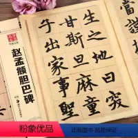 [正版]赵孟頫胆巴碑 中国书法传世碑帖精品 临摹赵体胆巴碑楷书书法毛笔字帖 附简体旁注 湖南美术出版社