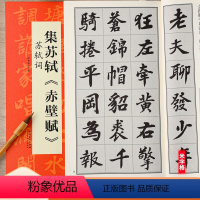 [正版]苏轼赤壁赋集字 苏轼词 翰墨诗词大汇 扫码看视频 历代名碑帖行书书法米字格毛笔练字帖 安徽美术出版社