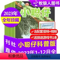 A[2023全年珍藏]科普版1-12月[送游戏书] [正版]多年份可选小聪仔(科普版)杂志2022/2023/202