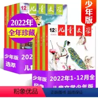 4儿童文学少年版2022全年共24本 [正版]小学生类1-6年级2022全年珍藏过刊杂志捡漏意林少年版/小国学/儿童文学