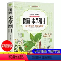 [正版]本草纲目李时珍 原著全套白话版无删减本草纲目彩图版 中医养生入门书籍大全黄帝内经中药材书籍中草药图解大全书中医