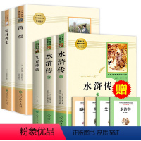 [人民教育出版社]九年级阅读书目 全套5册赠考点 [正版]艾青诗选 水浒传初中版儒林外史简爱全套5册九年级必读原著无删减