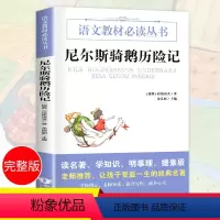 [正版]老师尼尔斯骑鹅历险记无删减原著 小学三年级必读的课外书旅行记9-12岁小学生课外阅读书籍四五六年级儿童故事书6